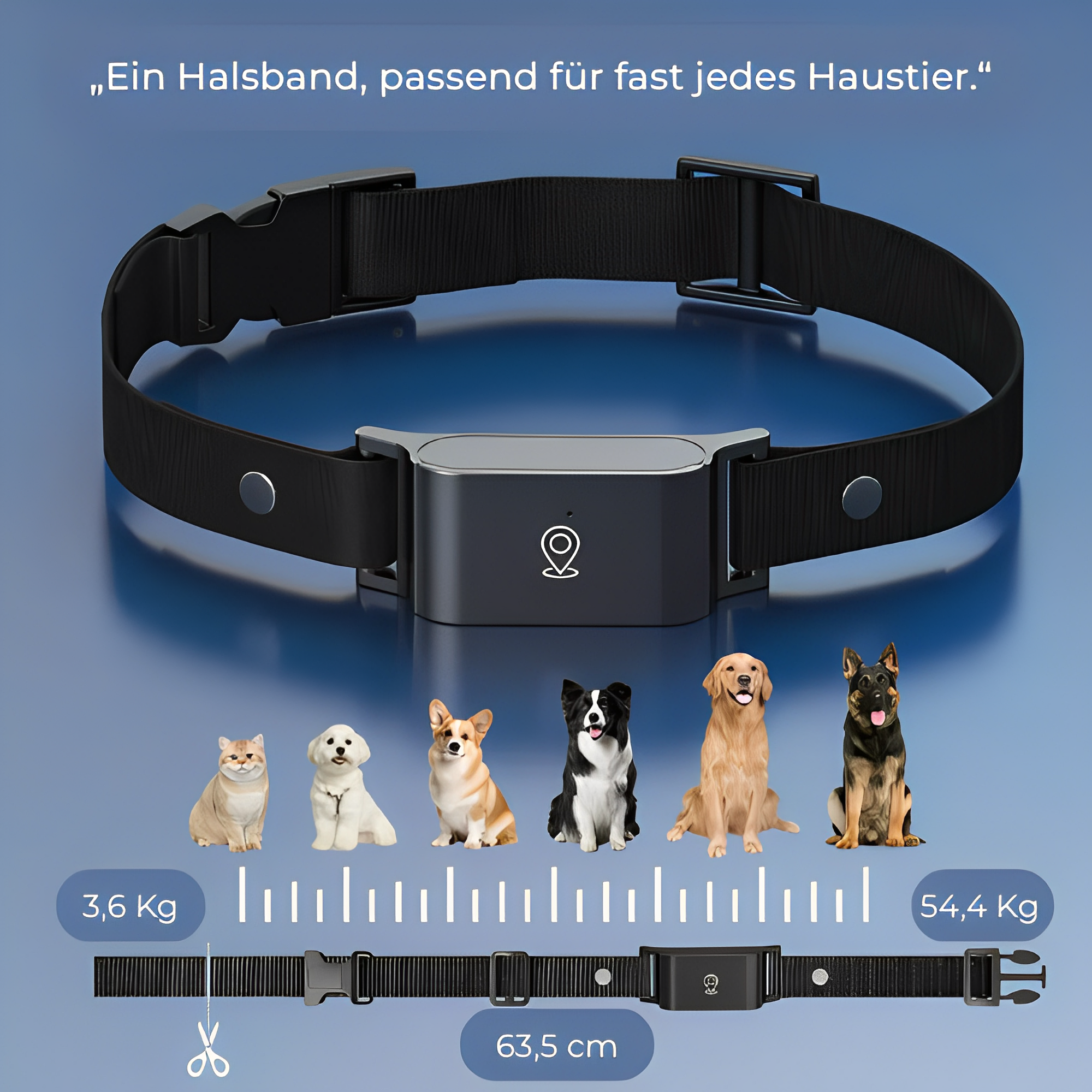 GPS Tier tracker